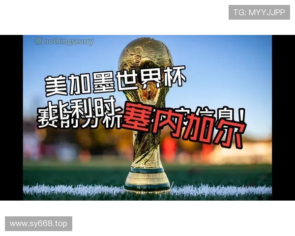 2026世界杯比利时对阵塞内加尔:32强淘汰赛对阵回顾 2026世界杯比利时对阵塞内加尔:32强淘汰赛对阵回顾